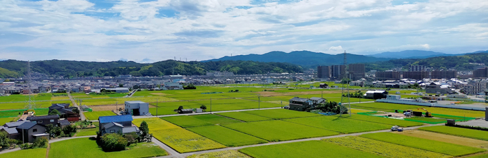 個室のご案内