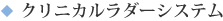 クリニカルラダーシステム